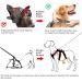 Buy Heele Dog Harness - Reflective Breakout Buckle Robust Handle Panic Clip - Perfect Fit in Green - Buy Online on GoSupps.com