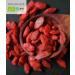 FRISAFRAN | Baies de Goji Bio 500g | Baies goji d shydrat es | Baies s ch es | Antioxydants | Collation sant | Sans sucres soufre | Fruits entiers | Baies Sup rieures | Himalaya | baies enti res - Buy Online on GoSupps.com