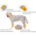 Buy Bt B r Big Dog Clothing - Elastic Pet Onesie for Joint Protection Anti-Hair & Licking Wound Protection Pajamas for Medium & Large Dogs - 4XL Gray Giraffe - Buy Online on GoSupps.com