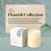 Buy Paddywax Scented Candles | Firefly Flourish Collection | Yuzu Woods Soy Wax Candle - International Shipping - Buy Online on GoSupps.com