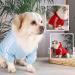 Shop Cute Dog Sweater for Small Dogs - Light Blue & Red Cotton Hoodie - Warm & Cozy Pet Apparel - Buy Online on GoSupps.com