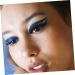 minkissy 16 Pairs False Eyelash Stickers Stick on Eyeliner Women Wispy Eye Lash Eye Line Strip Sticker Shiny Eyeliner Stickers Gothic+mirror Long Strip Lash Plastic Glitter Powder Cosmetic - Buy Online on GoSupps.com