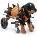 Adjustable 4 Wheel Dog Wheelchair Aluminum Alloy Shock Absorbing Dog Wheelchair Cart Portable Pet Rehabilitation Wheelchair with Handles Rehabilitation Aid for Dogs (CJC08 Cjc08 Coffee - Buy Online on GoSupps.com