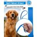 Looxmeer 7m Neon Blue Dog Tow Line - Robust Training Line with Storage Bag | International Shipping Available - Buy Online on GoSupps.com