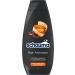 Schwarzkopf Henkel Schauma Caffeine Shampoo Hair Activator 400 ml hair shampoo promotes the release of growth factors shampoo strengthens the hair