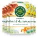 Traditional Medicinals Organic Reishi Mushroom with Rooibos & Orange Peel Tea, 16 Count (Pack of 6) Reishi Mushrom 16 Count (Pack of 6)
