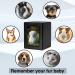 PCS Pet Photo Urns for Dogs Ashes - Small Black Pet Cremation Box (0-25lbs) - Buy Online on GoSupps.com