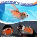 Eyin Life Jackets for Small Dogs | Adjustable Dog Vest with Strong Buoyancy & Reflective Handle | Tear-Resistant Swimming Aid (XS Orange & Gray) - Buy Online on GoSupps.com