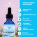 Absonutrix Activated and Stabilized Sulforaphane 20 mg 200 Servings Helps Cognitive Function Helps Slow Down Aging Third Party Tested Easy Absorption GMP-Certified Non-GMO Made in USA  - Buy Online on GoSupps.com