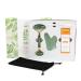 Buy NEUTRIHERBS Jade Gua Sha & Face Roller Set - 3 in 1 Vitamin C Serum Facial Tool Kit for Wrinkle Reduction & Skin Firming - International Shipping Available - Buy Online on GoSupps.com