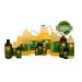 100% Pure Neem Oil - 16 oz Unrefined Organic Cold Pressed | Natural Best for Skin & Plants - Buy Online on GoSupps.com