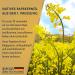 Teutoburger Rapeseed Oil with Butter Flavor - 500ml | Premium Quality Cooking Oil for International Shipping - Buy Online on GoSupps.com