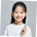 Shop Minkissy 4-Piece Toothbrush Set | Transparent Shoe Belt & Baby Tooth Care | Natural Milk Tooth Cleaner for Newborns & Children - International Shipping Available - Buy Online on GoSupps.com