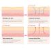 Silicone Anti-Wrinkle Pads for Neck - Overnight Hydrating Comfort for Youthful Skin - Buy Online on GoSupps.com