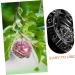 Gogogmee Shaped Fruit Shaper Reusable Forming Novel Shaping Ginseng Vegetable - Buy Online on GoSupps.com