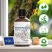 HIQILI Frankincense Oil Essential 30ML - 100% Natural for Face, Candle Making, Diffuser, Skin & Hair - 1 Fl Oz - Buy Online on GoSupps.com