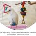 iplusmile Stainless Steel Bird Perch for Parrot - Grinding Claws, Trimming Beak, Nails - Exercise Platform for Parakeet, Cockatiel, Conure, African Grey, Macaw - Buy Online on GoSupps.com
