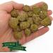 Horse Herbs Herb Crunchies - Natural Horse Treats with Mint. Nettle & Garlic (1.5kg) 1.5 kg (Pack of 1) - Buy Online on GoSupps.com