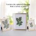 Set of 5 Modern Gold 8x10 Photo Frames with High Definition Glass - Wall/Tabletop Display - Buy Online on GoSupps.com