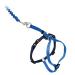 PetSafe Easy Walk Cat Harness With Elastic Bungee Leash For Walking Your Cat Size M Blue Blue M