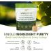 WellVine Premium Smart Prebiotic Gut Health Supplement Powder for Men & Women | Digestive Support & Gut Health With 100% Upcycled Chardonnay Grapes | Plant-Based Gluten and Allergen-Free | 4.75Oz - Buy Online on GoSupps.com