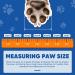 Petbobi Dog Boots - Waterproof Rubber Non-Slip Shoes for Small Medium Large Dogs - Protect Paws on Rain, Snow, Hot Pavement, Hardwood Floors - 4PCS Orange Size #6 - 2.75 x 3.14 - Buy Online on GoSupps.com