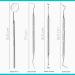 Dental Pick Set - Stainless Steel Teeth Cleaning Tools for Oral Care & Whitening - Buy Online on GoSupps.com