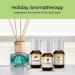 Essential Holiday Desserts Fragrance Oil Set - Pack of 10, 5ml - Peppermint, Apple Cinnamon, Hot Chocolate, Cherry, Pumpkin Pie, Candy Cane, Gingerbread, Snickerdoodle, Cinnamon, Brown Sugar - Buy Online on GoSupps.com
