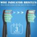 Fairywill Electric Toothbrush Heads Compatible with FW Series - 10 Pack Black - Buy Online on GoSupps.com