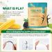 Eco-Friendly Mint Dental Floss Sticks - 150 Count (Pack of 1) - Buy Online on GoSupps.com