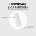 Codeage L-Carnitine 500mg | 3-Month Supply, L-Tartrate, Free Form Amino Acid | Liposomal Delivery, Vegan & Non-GMO - 90 Capsules - Buy Online on GoSupps.com