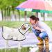 Petcute Waterproof Dog Raincoat with Hood - Breathable Transparent PVC Jacket for Large & Medium Dogs | 3XL Black - Buy Online on GoSupps.com