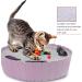 Buy Pawaboo Electric Mouse Cat Toys - Interactive Kitten Play Safe Scratch Mat & Chew Balls in Violet Taro - Buy Online on GoSupps.com