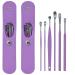 2 Pack 6 Pcs Ear Wax Removal Kit Ear Pick Earwax Removal Tool Ear Cleaning Kit Ear Cleaner (Purple) (2)