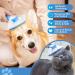 Self-Cleaning Slicker Brush for Dogs & Cats - Grooming Tool for Shedding Tangles - Deshedding Cat Brush - Short & Long Haired Cats - Buy Online on GoSupps.com