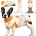 Kuoser Dogebody after op dog body after castration male bitch dog body after op bitch breathable body for dogs after op leakage protection dog anti-wound licking op body dog orange xs XS (1 Pack) orange
