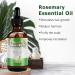 Natural Rosemary Oil for Scalp & Hair - Stimulates Hair Growth | 60ml Essential Oil - Buy Online on GoSupps.com
