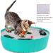 Shop Pawaboo Electric Mouse Cat Toys - Interactive Kitten Fun Safe Play Balls Cat Bed & Scratch Mat - Blue - Buy Online on GoSupps.com