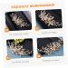 Gogogmee Headgear Bridal Hair Comb Bridal Headpieces for Wedding Bride Hair Comb Wedding Pearl Hair Comb Wedding Hair Accessories for Brides Wedding Hair Comb Wedding Headpiece for Bride - Buy Online on GoSupps.com