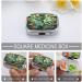 Decorative Tropical Plants Print Pill Box - 2 Compartment Metal Pill Organizer for Travel | Portable Medicine Case for Pocket & Purse - Buy Online on GoSupps.com