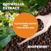 Joint Discomfort Relief: Glucosamine Sulfate with Hyaluronic Acid, Bioperine, MSM & Boswellia - Anti-Inflammatory Supplement for Back, Knees, and Hands - Buy Online on GoSupps.com