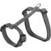Trixie Cat Harness Large - Random Color (Pack of 2) | Premium Comfort & Safety for Your Cat - Buy Online on GoSupps.com