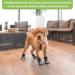 Mfsdai Anti-Slip Dog Socks Adjustable Velcro Fasteners for Small Medium & Large Dogs Non-Slip Grip for Hardwood Floors 3 Pairs - Buy Online on GoSupps.com