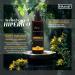 Inkanatura St Johns Wort Oil 100 ml 100 natural macerated in vegetable oil for massage skin care and traditional use Terra Amazonas - Buy Online on GoSupps.com
