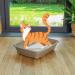 Petsentials Super Clumping Cat Kitten Litter Ultra Absorbent Natural Cat Litter with Active Carbon (5L) White - Buy Online on GoSupps.com