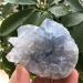 Crystal Rough Natural Stone Natural Blue Celestite Crystal Cluster Specimen for Decoration (Size : 1.3kg) - Buy Online on GoSupps.com