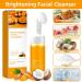 Turmeric Facial Cleanser | Deep Cleaning & Moisturizing Face Wash for All Skin Types | Foaming Turmeric Cleanser - 1 PCS - Buy Online on GoSupps.com