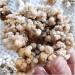 CIMWJOPS Natural Rough Crystalline Crystal Stone Zeolite Quartz Apophyllite Raw Rock Decorations Specimens Collection Bulk 1.0-1.15kg - Buy Online on GoSupps.com