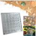 ARVALOLET Acrylic Organizer with Magnetic Closure 36/64/100 Grids for Stones Beads and Nail Jewelry 36grids - Buy Online on GoSupps.com