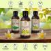 St. John's Wort Oil 250ml - Pure Natural Carrier Oil for Skin & Body Care - Cosmetic Essential Oil - Buy Online on GoSupps.com